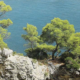 La costa Garganica